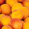 Key Vape Apricot Concentrate