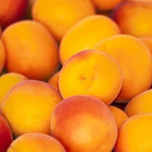 Key Vape Apricot Concentrate