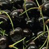 Key Vape Black Cherry Concentrate