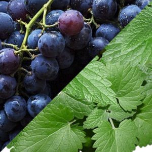 Key Vape Grape Mint Concentrate