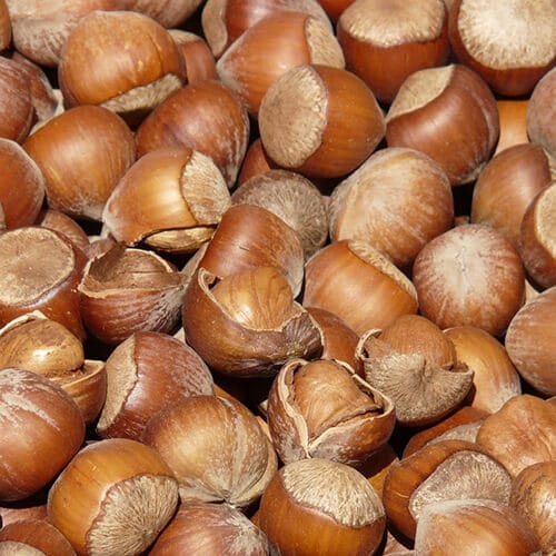 Key Vape hazelnut Concentrate