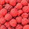 Key Vape Raspberry Concentrate