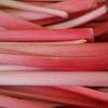 Key Vape Rhubarb Concentrate