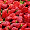 Key Vape Strawberry Concentrate