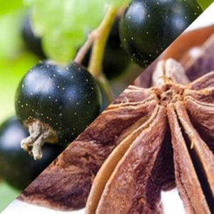 Key Vape Blackcurrant Aniseed Concentrate