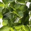 Key Vape Spearmint Concentrate