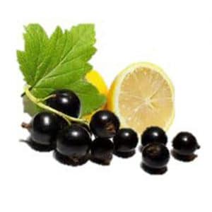 Blackcurrant and Lemon Flavour Bulk E Liquid