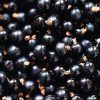 Key Vape Cool Blackcurrant Concentrate