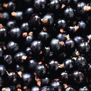Key Vape Cool Blackcurrant Concentrate