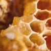 Key Vape Milk Choc Honey Concentrate