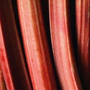 Key Vape Rhubarb Custard Concentrate