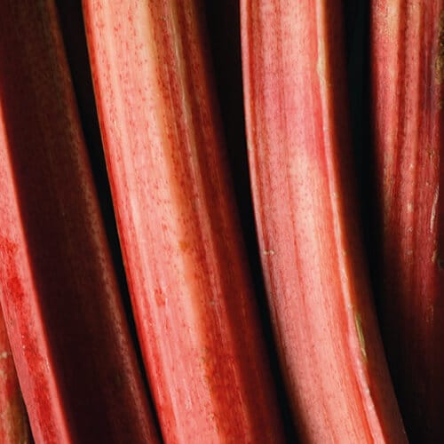 Key Vape Rhubarb Custard Concentrate