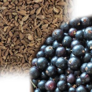 Blackcurrant Aniseed Flavour Bulk E Liquid