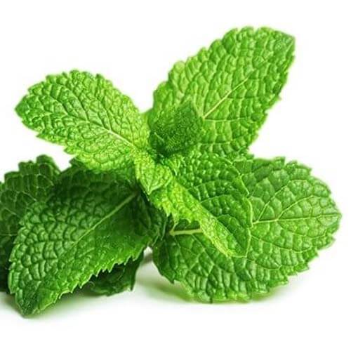 Menthol Flavour Bulk E Liquid